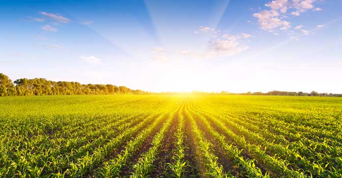 2018 Farm Bill